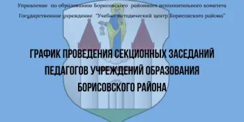 Секционные заседания педагогов учреждений образования Борисовского района