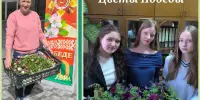 "Цвети, родная школа!" - акция к 80-летию Победы