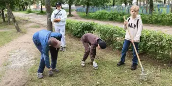 Год Благоустройства страны