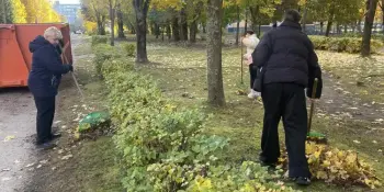 Уборка территории от опавшей листвы