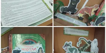 Книжные выставки в школьной библиотеке