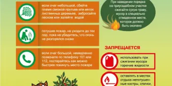 💥Осторожно!💥 Сухая растительность!🍂