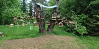 Экскурсия по экотропе "Дыхание Борисовщины"