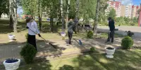 Трудовая занятость школьников
