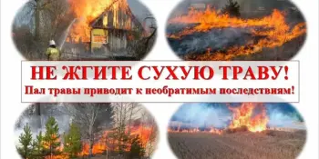 🧯🧯🧯 Когда сухая трава становится угрозой?